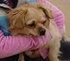 20081022173439-tu.jpg